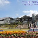 원일수족관