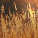 아람청소년지역아동센터 이미지