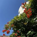 몽땅컴퍼니 이미지