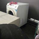 푸른나라 이미지