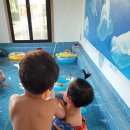 오복지 펜션 이미지