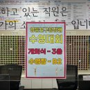 구청장배 수영대회 | 2025년 제5회 영등포구청장배 수영대회 후기