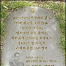 ﻿﻿촛불141일쩨 11월 8일 금요일 서울지역 촛불집회 일정 이미지