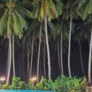 레몬트리 호텔(Lemon Tree Hotel) 이미지