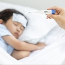 늘편안동물약국 이미지