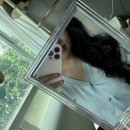 W9. ✨까르띠에 다무르 라지 옐골 온라인 공홈 성공후기 / 다무르 라지 실물(26년 6월 9일)