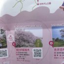 연동 관광안내소 이미지