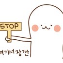 사계2248 이미지