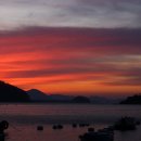 사궁두미 이미지