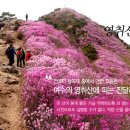 여수밤바다민박 이미지