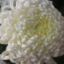 동서공인중개사사무소 이미지