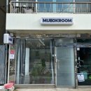 홍천여자고등학교 | 홍천 속눈썹펌 돌고돌아 미적룸 내돈내산 속눈썹펌 후기