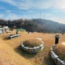 묘지 | 묘지관리, 묘지보수 대행업체, 후기 보기