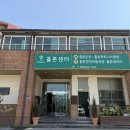 홀론테라피
