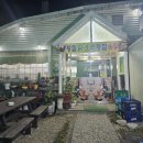 보성녹계 이미지