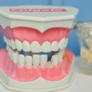 이플란트 치과의원 이미지