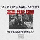 연합특수 | ‘곰 보호 캠페인’에 참여하는 방법과 후기