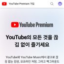 유튜브 프리미엄 가격 근황 이미지