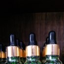 라미야포항점 이미지