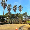 제주 행복스케치 펜션 이미지