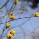 참새골약수터 이미지