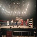 쿠마복싱짐 | 2025 더원 프로모션 생활체육복싱 대회 (PXB IN SEOUL)🥊 광주전일복싱 참가 후기