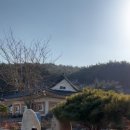 스테이 선광 이미지