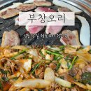 부창오리정육 이미지