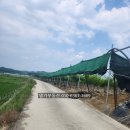 형대농장 이미지