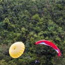 버드스쿨 이미지