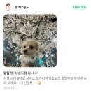 커낼워크 가을동1 | 벙커X송도 l 송도 술집 추천, 반려견과 함께 저녁식사도 할 수 있는 분위기 좋은 커낼워크 가을동 맛집