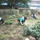 원촌초교 이미지