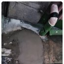 월평새뜸로 이미지