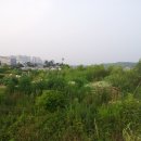 풀천지농장 이미지