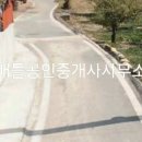 고금면사무소 네이버블로그