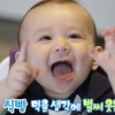 아빠랑 식빵이랑 이미지