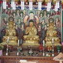 양평 용문산 사나사 (舍那寺) 사나사계곡 이은욱의 사찰기행 50.
