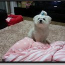 김순돌 이미지