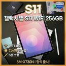 다담종합관리 | 삼성 갤럭시탭 S11 WiFi 256GB SM-X730N 실사용 리뷰 및 가격 혜택 완벽 분석 추천