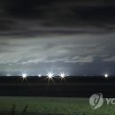 경포배오징어 이미지