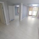 신세대지큐빌 이미지