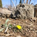 제내농장 이미지