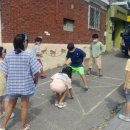 나무 206 이미지