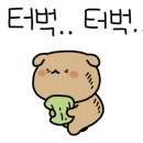 진해옥설렁탕