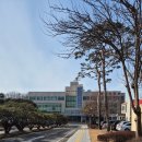 알미산로 이미지