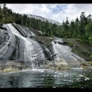 Great Bear Rainforest in 4K 이미지