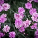 서라벌동물병원 이미지