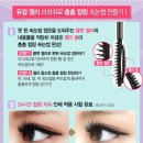디어마이래쉬