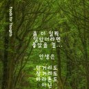 위로의 그림책-박재규 이미지