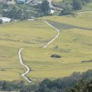 황금빛 목장 이미지